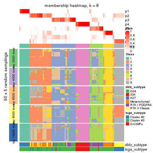 plot of chunk tab-MAD-mclust-membership-heatmap-7