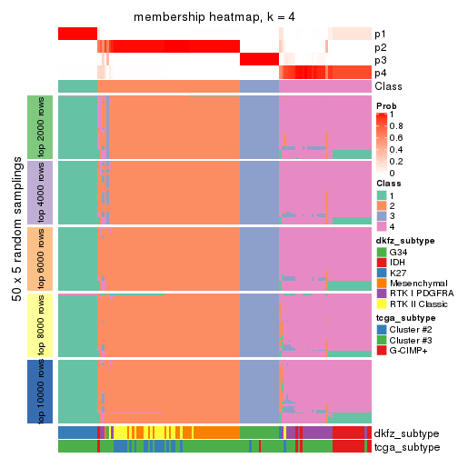 plot of chunk tab-MAD-skmeans-membership-heatmap-3
