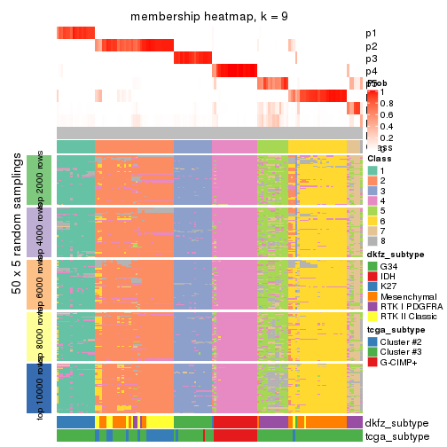 plot of chunk tab-MAD-skmeans-membership-heatmap-8