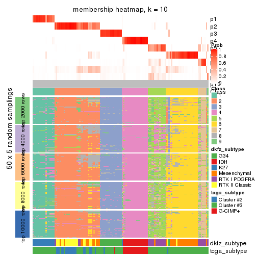 plot of chunk tab-MAD-skmeans-membership-heatmap-9