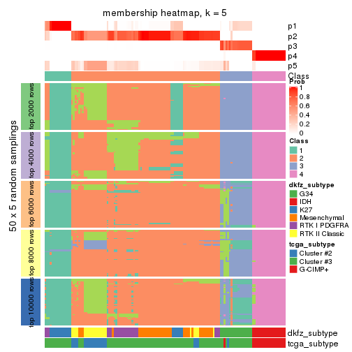 plot of chunk tab-SD-hclust-membership-heatmap-4