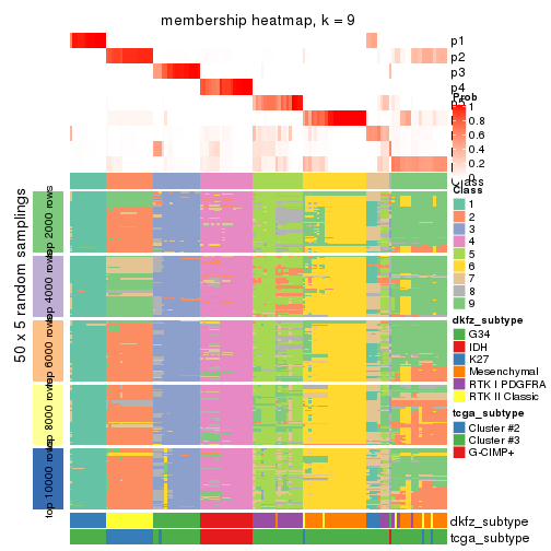 plot of chunk tab-SD-kmeans-membership-heatmap-8