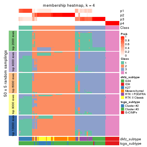plot of chunk tab-SD-mclust-membership-heatmap-3