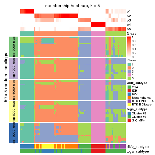 plot of chunk tab-SD-mclust-membership-heatmap-4