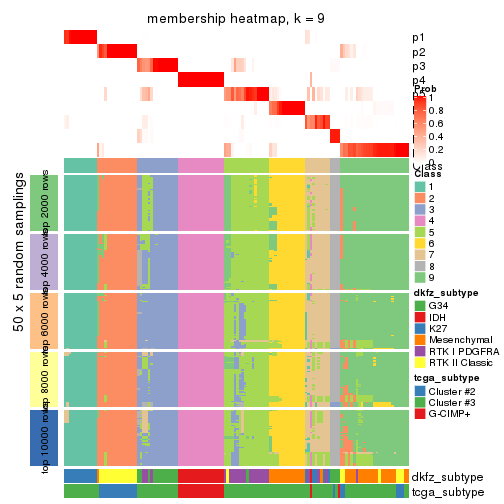 plot of chunk tab-SD-mclust-membership-heatmap-8