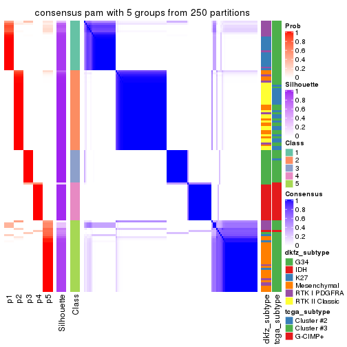 plot of chunk tab-SD-pam-consensus-heatmap-4