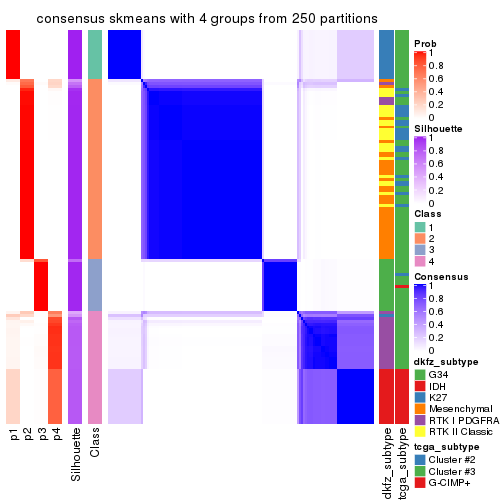 plot of chunk tab-SD-skmeans-consensus-heatmap-3