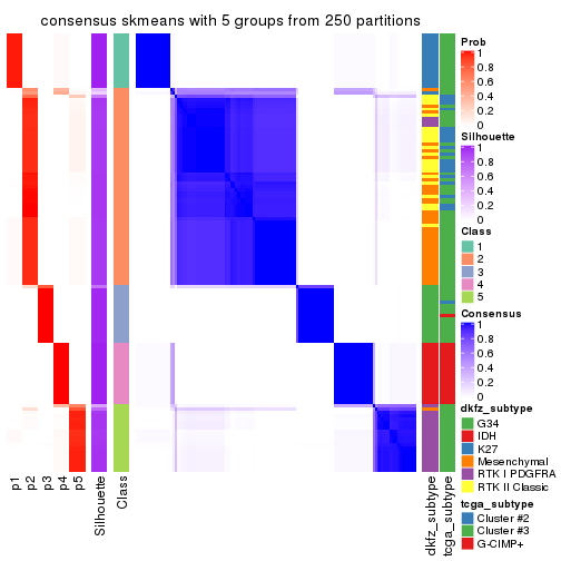 plot of chunk tab-SD-skmeans-consensus-heatmap-4