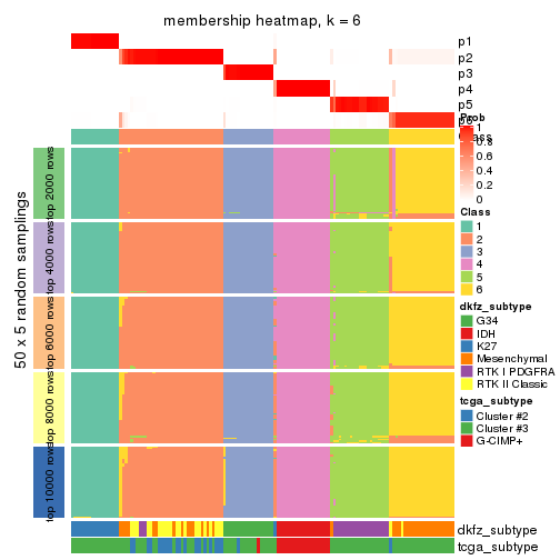 plot of chunk tab-SD-skmeans-membership-heatmap-5