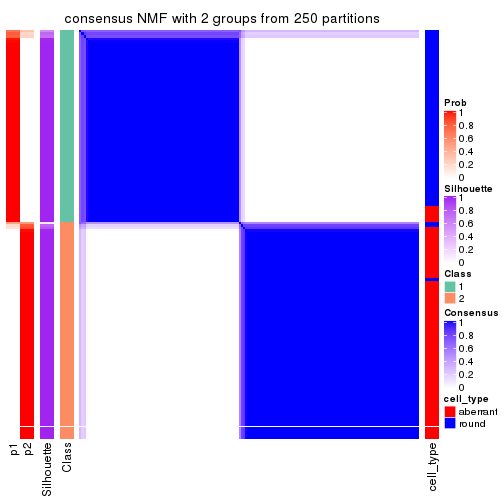 plot of chunk tab-ATC-NMF-consensus-heatmap-1