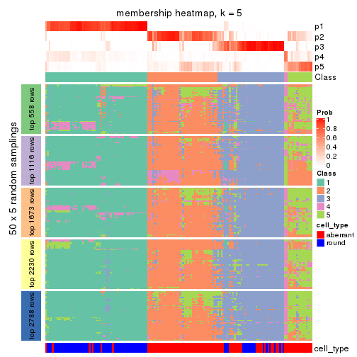 plot of chunk tab-ATC-NMF-membership-heatmap-4