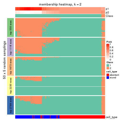 plot of chunk tab-ATC-hclust-membership-heatmap-1