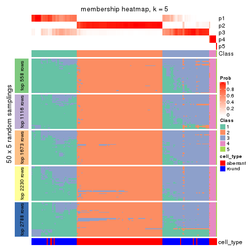 plot of chunk tab-ATC-hclust-membership-heatmap-4