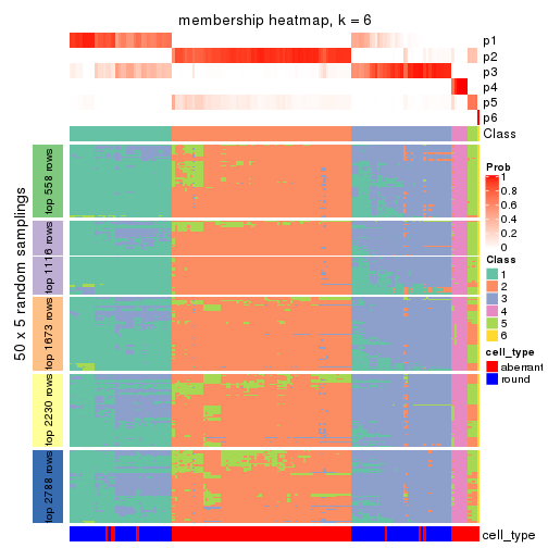 plot of chunk tab-ATC-hclust-membership-heatmap-5