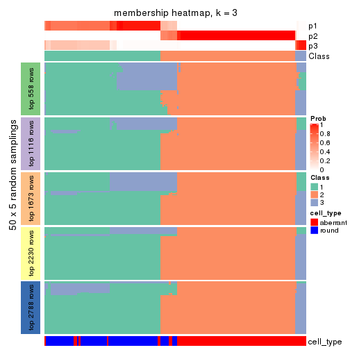 plot of chunk tab-ATC-kmeans-membership-heatmap-2