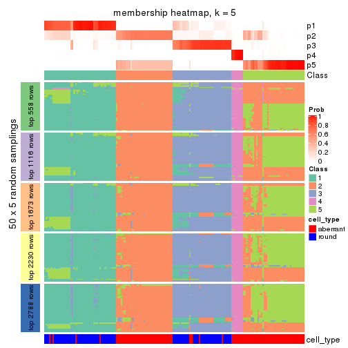 plot of chunk tab-ATC-kmeans-membership-heatmap-4