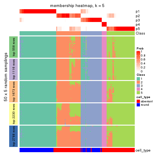 plot of chunk tab-ATC-mclust-membership-heatmap-4