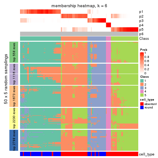 plot of chunk tab-ATC-mclust-membership-heatmap-5