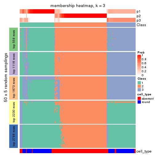 plot of chunk tab-ATC-pam-membership-heatmap-2