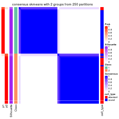 plot of chunk tab-ATC-skmeans-consensus-heatmap-1