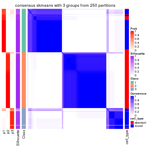 plot of chunk tab-ATC-skmeans-consensus-heatmap-2