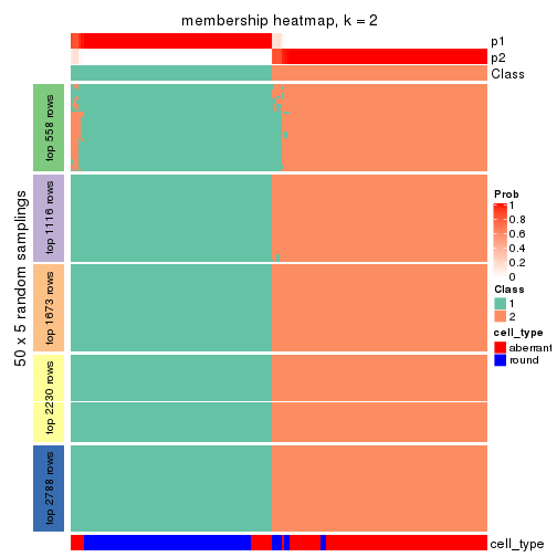 plot of chunk tab-ATC-skmeans-membership-heatmap-1