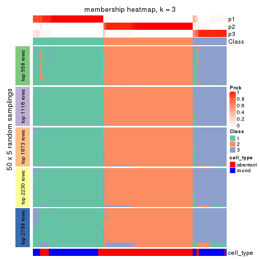 plot of chunk tab-ATC-skmeans-membership-heatmap-2