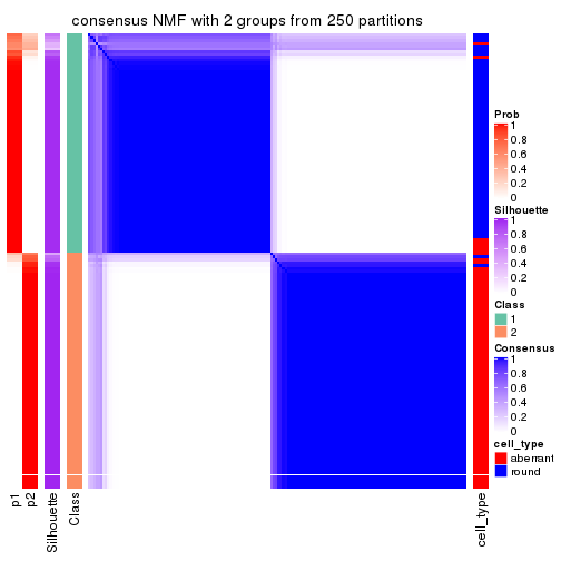 plot of chunk tab-CV-NMF-consensus-heatmap-1