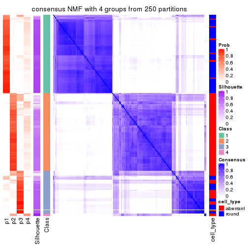 plot of chunk tab-CV-NMF-consensus-heatmap-3