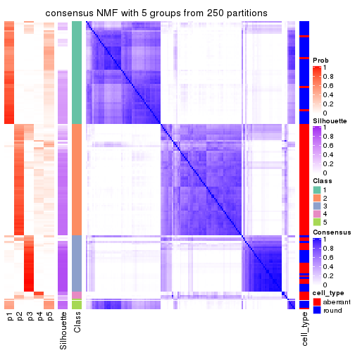 plot of chunk tab-CV-NMF-consensus-heatmap-4