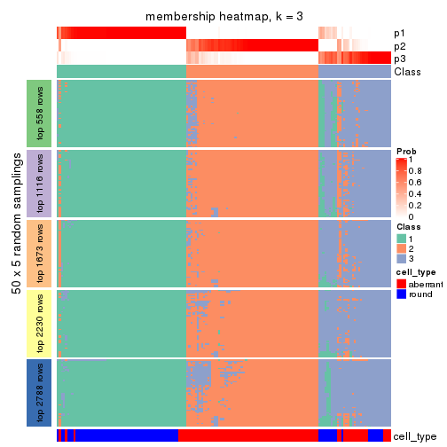 plot of chunk tab-CV-NMF-membership-heatmap-2