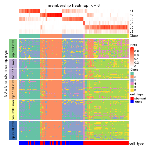 plot of chunk tab-CV-NMF-membership-heatmap-5