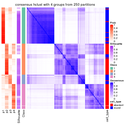 plot of chunk tab-CV-hclust-consensus-heatmap-3