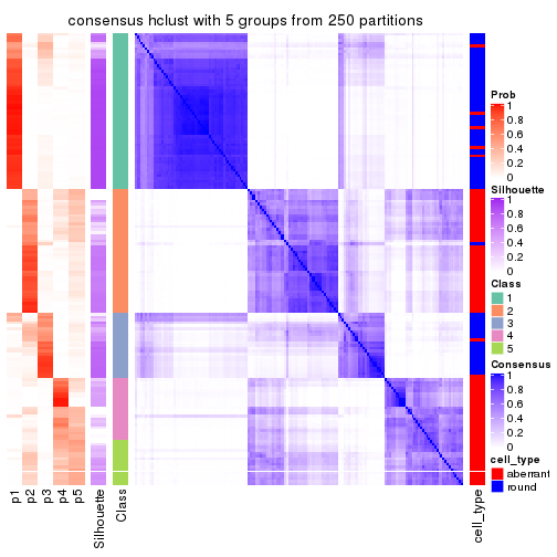 plot of chunk tab-CV-hclust-consensus-heatmap-4