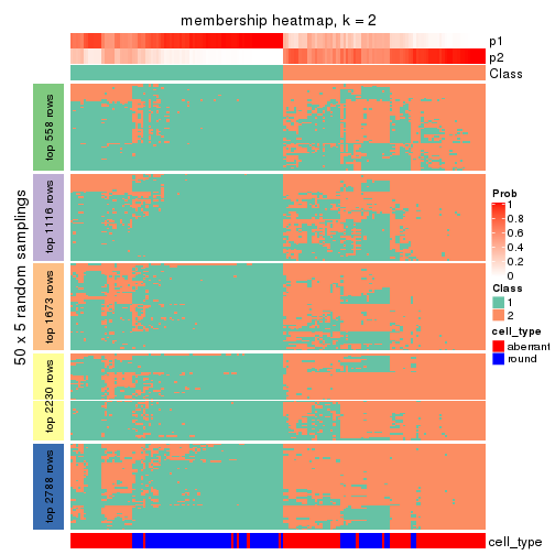 plot of chunk tab-CV-hclust-membership-heatmap-1