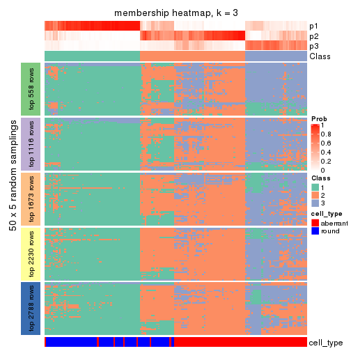 plot of chunk tab-CV-hclust-membership-heatmap-2