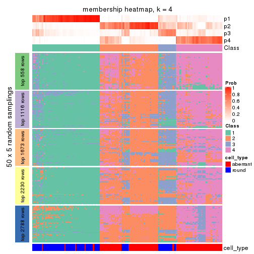 plot of chunk tab-CV-hclust-membership-heatmap-3