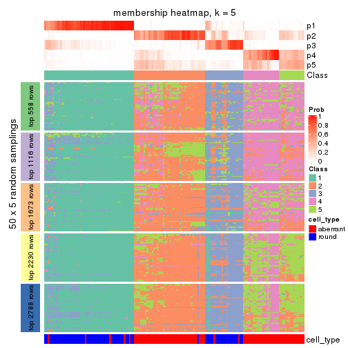 plot of chunk tab-CV-hclust-membership-heatmap-4