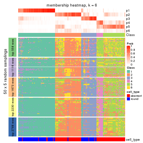 plot of chunk tab-CV-hclust-membership-heatmap-5