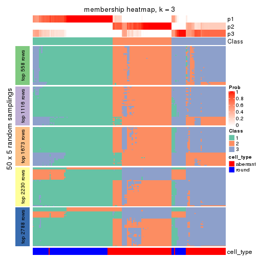 plot of chunk tab-CV-kmeans-membership-heatmap-2