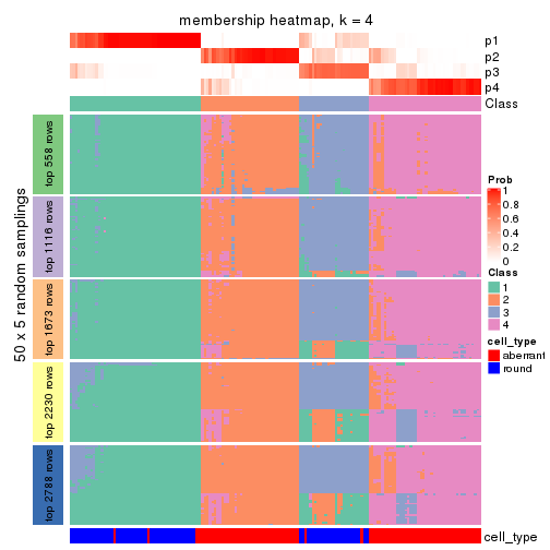 plot of chunk tab-CV-kmeans-membership-heatmap-3