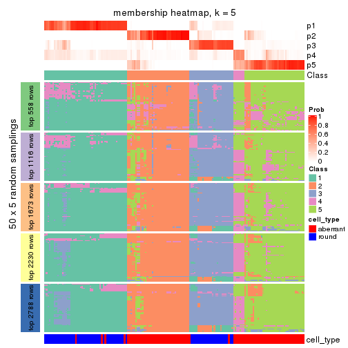 plot of chunk tab-CV-kmeans-membership-heatmap-4