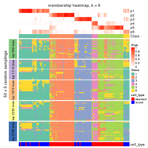 plot of chunk tab-CV-kmeans-membership-heatmap-5