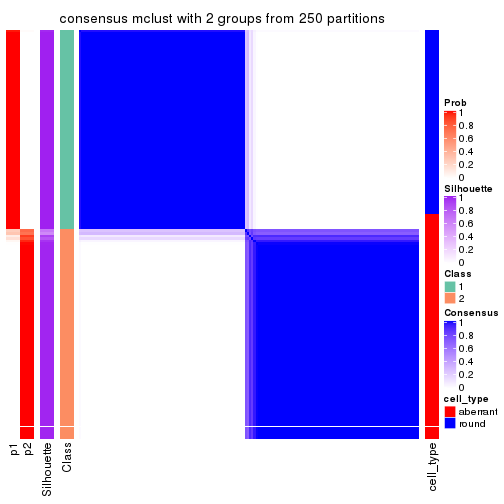 plot of chunk tab-CV-mclust-consensus-heatmap-1