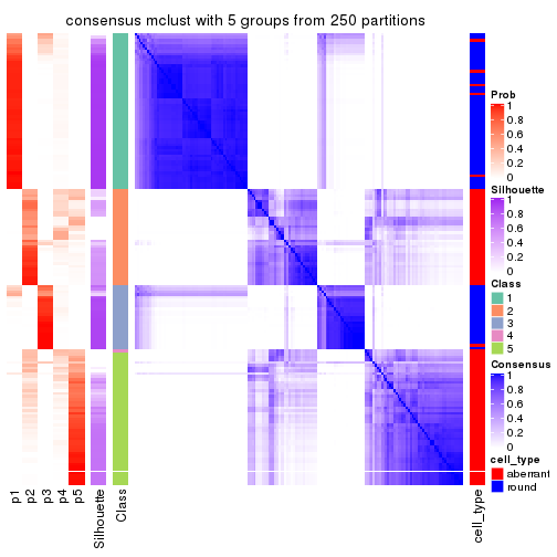 plot of chunk tab-CV-mclust-consensus-heatmap-4