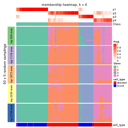 plot of chunk tab-CV-mclust-membership-heatmap-3