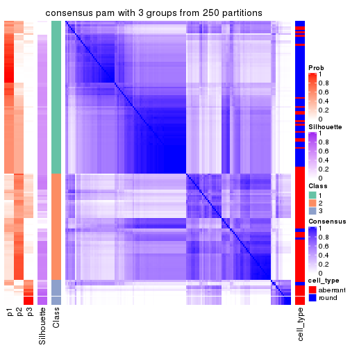 plot of chunk tab-CV-pam-consensus-heatmap-2