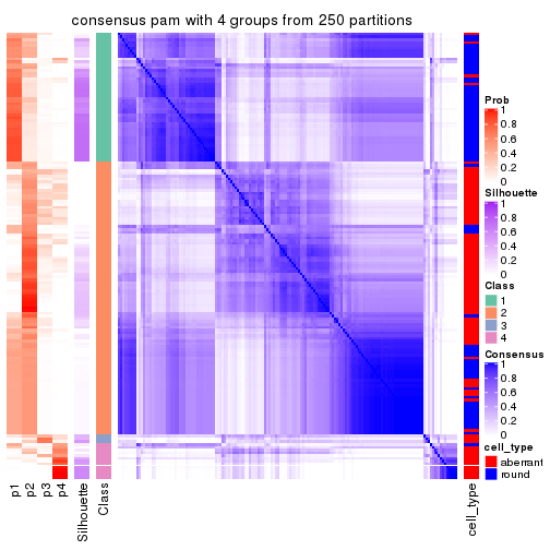 plot of chunk tab-CV-pam-consensus-heatmap-3