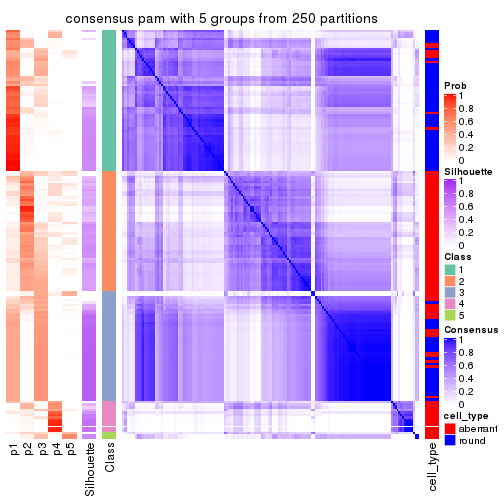 plot of chunk tab-CV-pam-consensus-heatmap-4