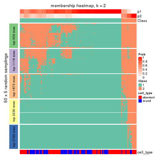 plot of chunk tab-CV-pam-membership-heatmap-1